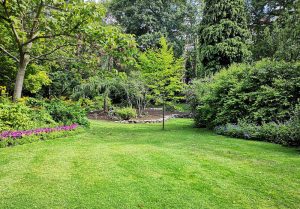 Optimiser l'expérience du jardin à Argenvilliers